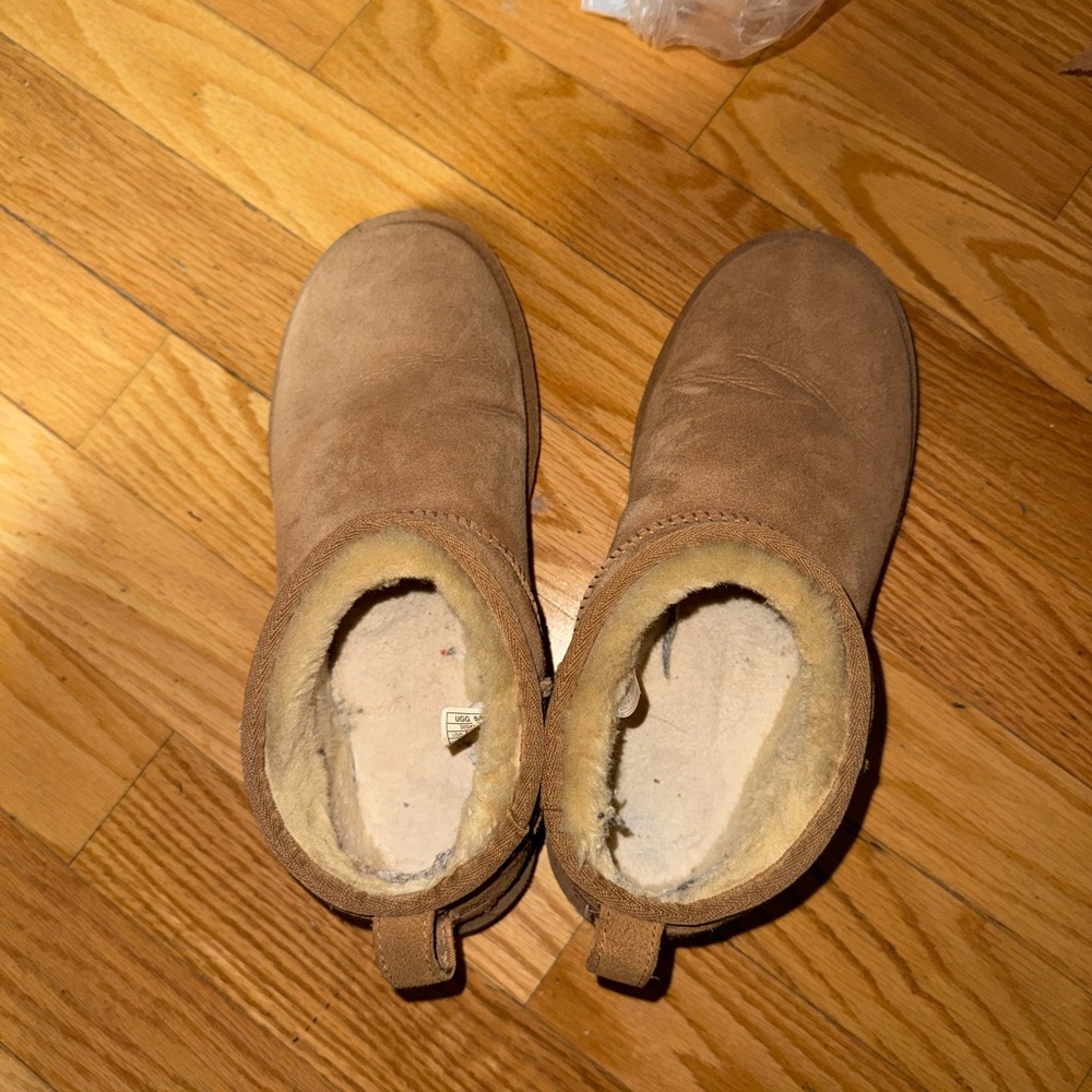 mini uggs